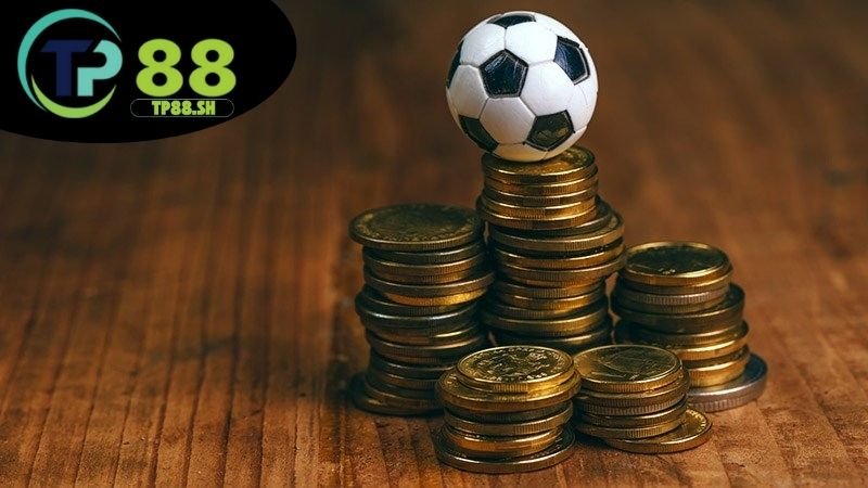 Cá cược thể thao TP88 - Tỷ lệ kèo hấp dẫn thắng lớn mỗi ngày 6 Ưu điểm cá cược tại TP88