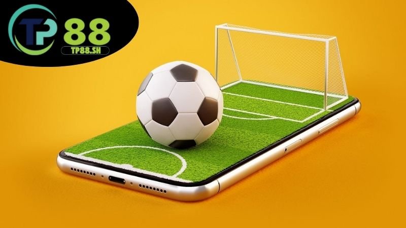 Cá cược thể thao TP88 - Tỷ lệ kèo hấp dẫn thắng lớn mỗi ngày 7 Mẹo cá cược thể thao hiệu quả