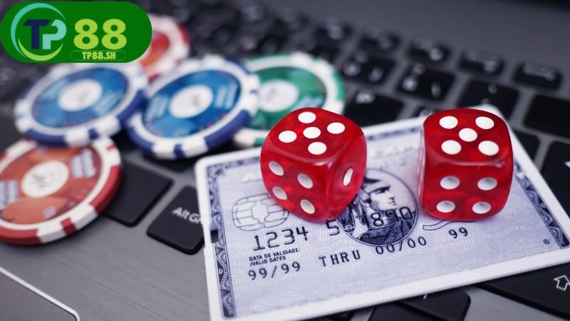 Nhà cái và nhà con minh họa mối quan hệ trong trò chơi cá cược