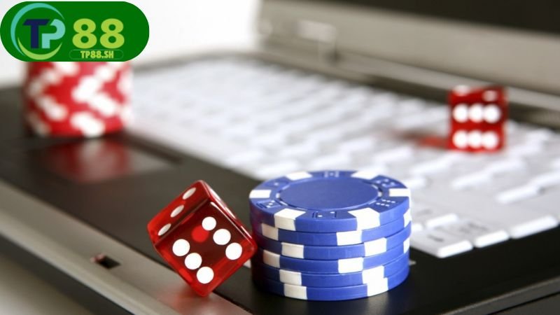 Nhà cái Y6 cá cược trực tuyến uy tín nhất 2025 6 Nhà cái Y6 nổi bật với kho game cá cược đa dạng